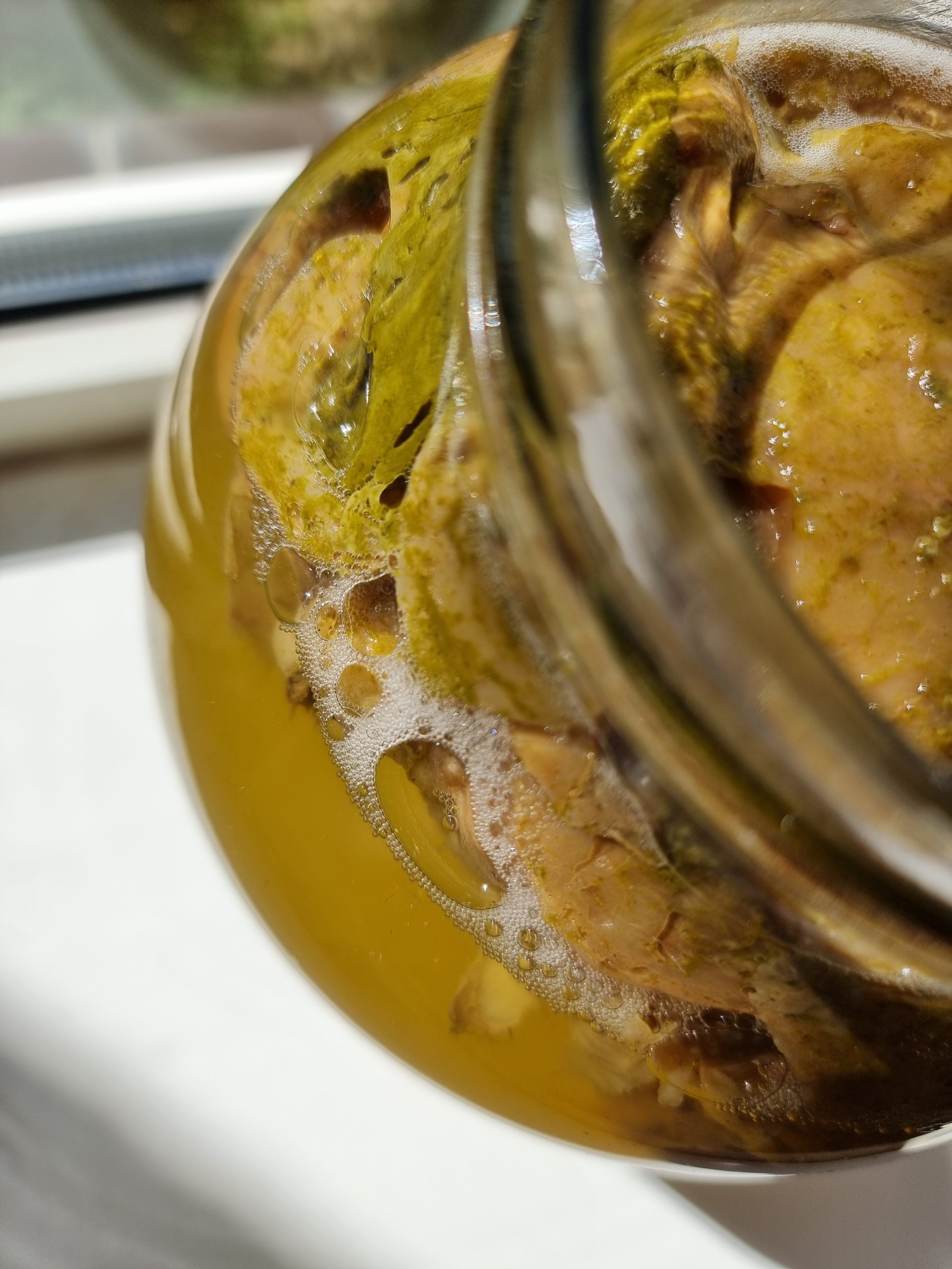Active kombucha